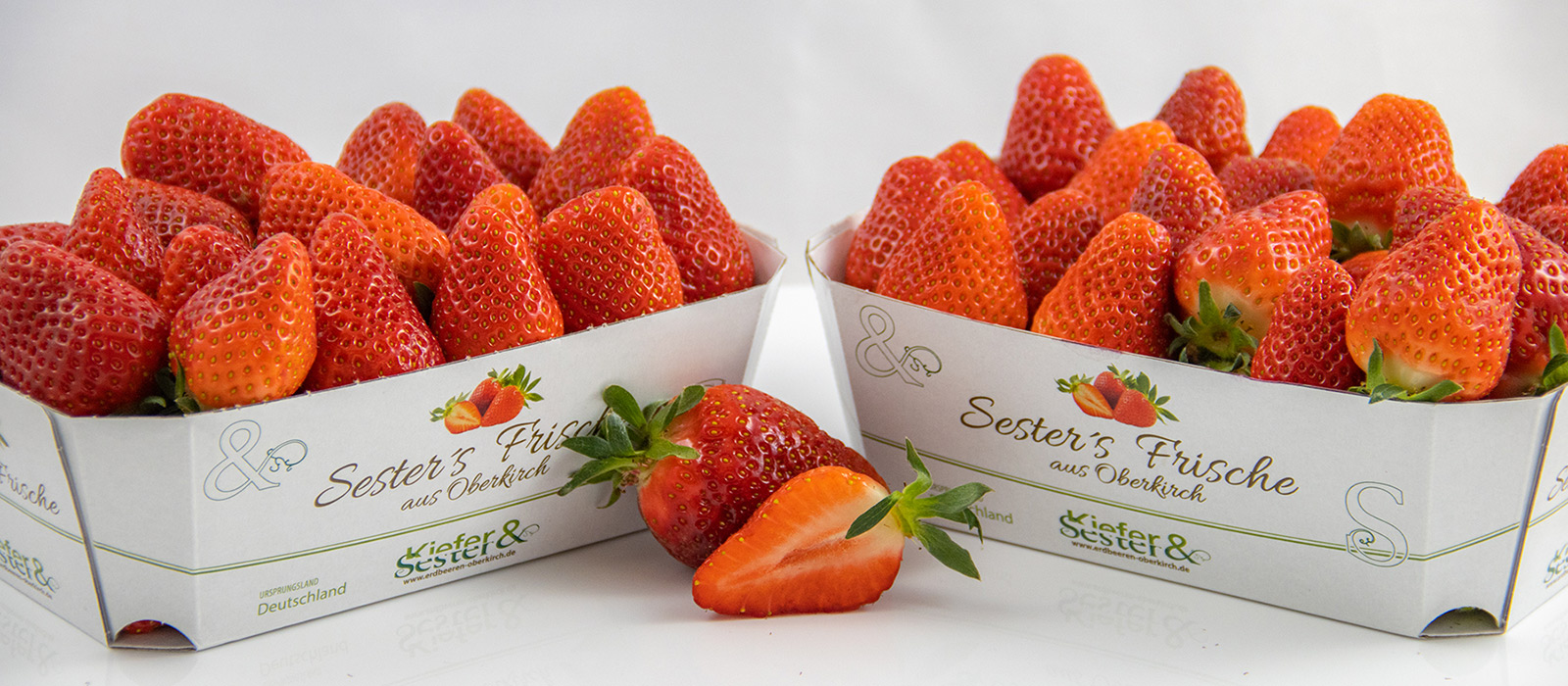 Erdbeeren Kiefer & Sester